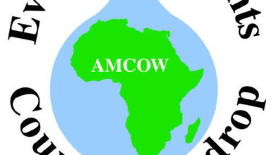 12ème réunion de l’AMCOW à Abuja : Planifier l'accès durable à l’eau et l’assainissement en Afrique