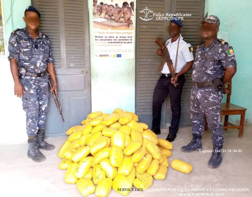 Bénin : 99 kg de chanvre indien saisis à Agoué par la Police