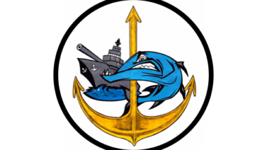 Manœuvre « Barracuda » : Les Forces Navales s’aguerrissent pour des eaux béninoises sécurisées