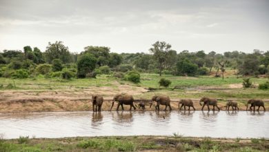 Afrique du Sud : Un français inculpé de meurtre pour violation de la quarantaine