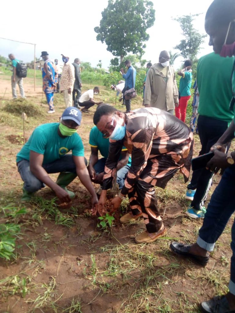 Bénin/Journée de l'arbre 2020 : Le maire Amadé Moussa s'investit pour une commune de Zè verte