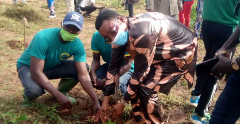 Bénin/Journée de l'arbre 2020 : Le maire Amadé Moussa s'investit pour une commune de Zè verte