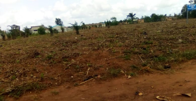 Bénin : L’agriculture pour sécuriser la terre et les populations