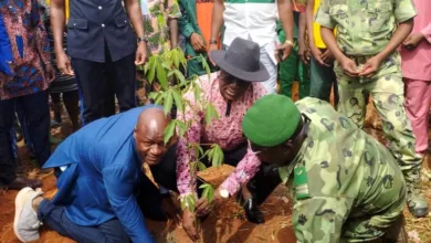 Bénin : La 5e édition de la campagne scolaire de reboisement lancée par Yves Kouaro Chabi