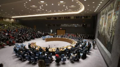 ONU conseil de sécurité