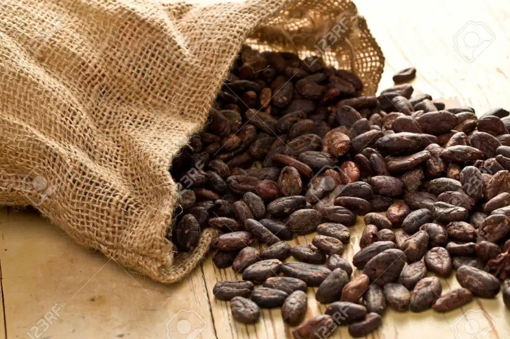 suspension de l'exportation du cacao en cote d'ivoire