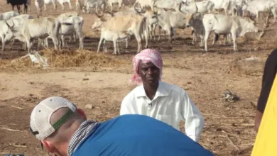 Sierra-Leone : L'importation de viande interdite