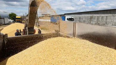 Céréales ukrainiennes suspension de l'accord russo-ukrainien