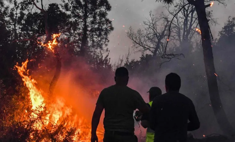 De violents incendies en Algérie causent d'énormes dégâts dans le pays