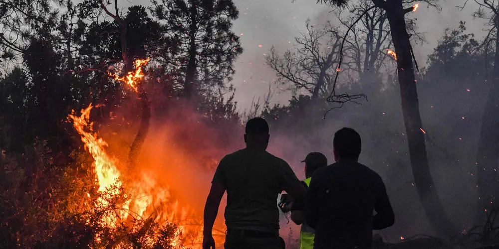 De violents incendies en Algérie causent d'énormes dégâts dans le pays
