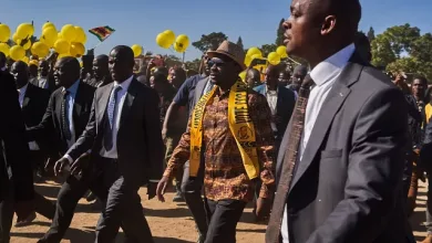 Zimbabwe : Arrestation de 40 opposants à une Semaine des élections présidentielle et législatives