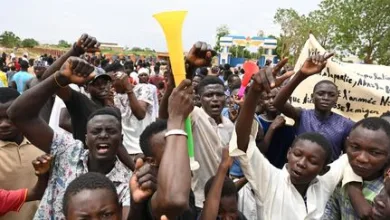 Coup d'État au Niger : 54 manifestants appréhendés à Niamey