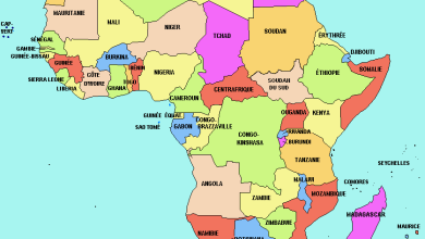 Coup d'État en Série : Analyse des bouleversements politiques en Afrique de l'Ouest