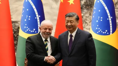 Sommet BRICS 2023 : Lula da SILVA et Xi Jinping en Afrique du Sud