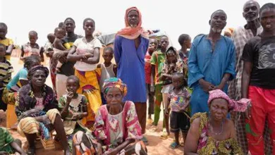 Niger : Niamey obtient un convoi de ravitaillement