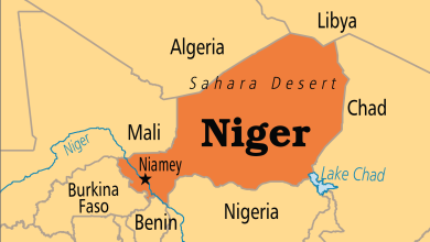 carte du Niger