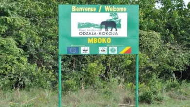 Patrimoine mondial de l'Unesco : En dehors du Koutammakou béninois, les cinq autres sites africains inscrits cette année