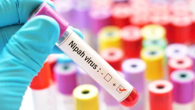 Le Virus Nipah refait son apparition en Inde