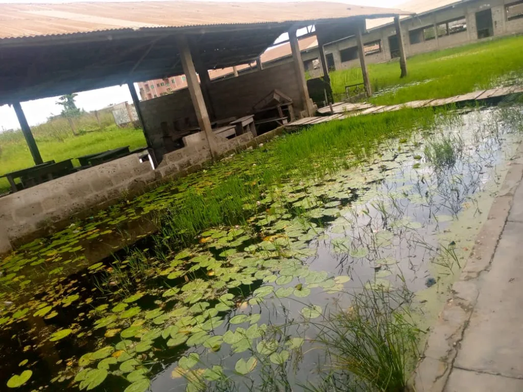 Rentrée Scolaire au Bénin : Le Gouvernement réagit face aux inondations dans les écoles