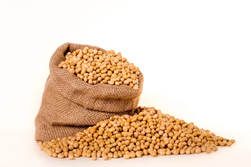Campagne de commercialisation 2023-2024 du Soja grain