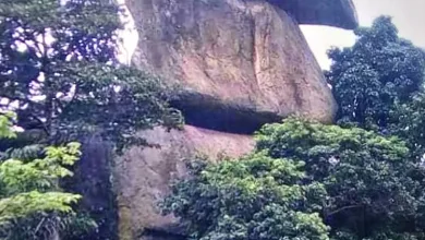 PREMIER ROI DU ROYAUME IGBO IDASHA (DASSA-ZOUME) - CHERCHEUR Roger Sêdo ADJIBA